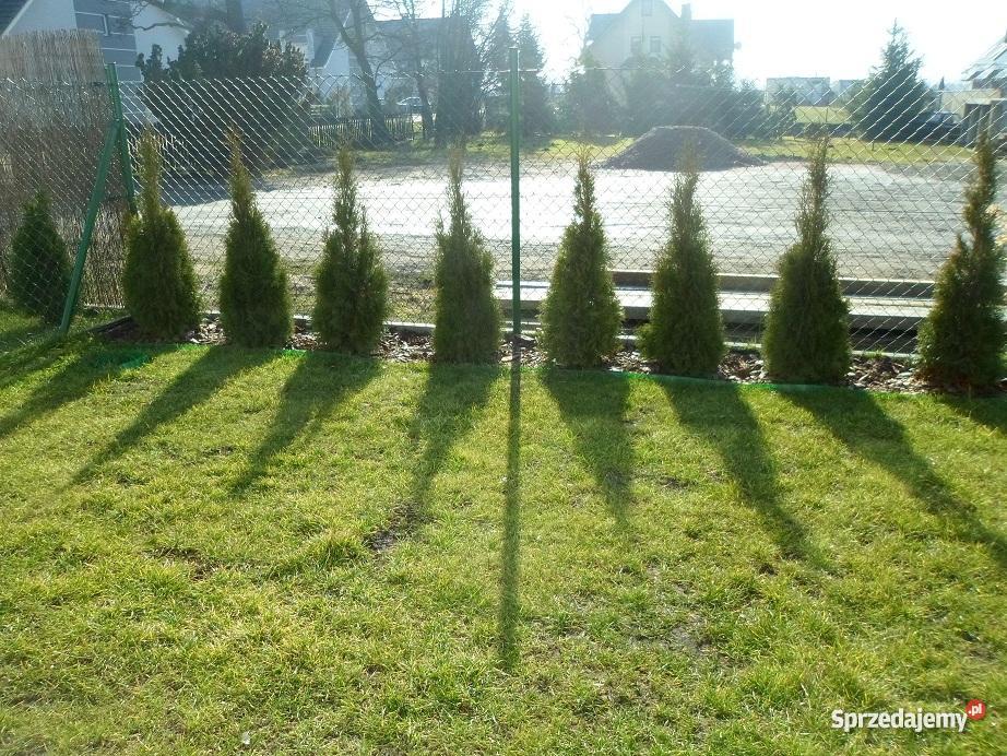 dom Radunica Pruszcz Gdański Radunica