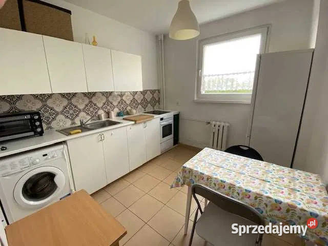 2 pokoje wolne zaraz Gdańsk Zaspa Wynajem sprzedam