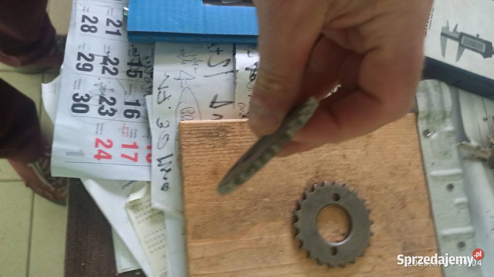 zębatki podwójne do mechanizmu posuwu gomad