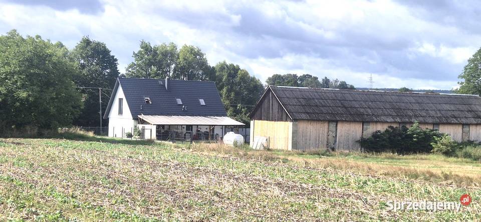 DOM W GÓRACH ŚWIĘTOKRZYSKICH Z DZIAŁKĄ 161 H Stara Słupia