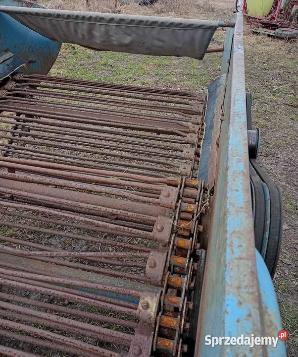 Kopaczka nieuszkodzony Augustów