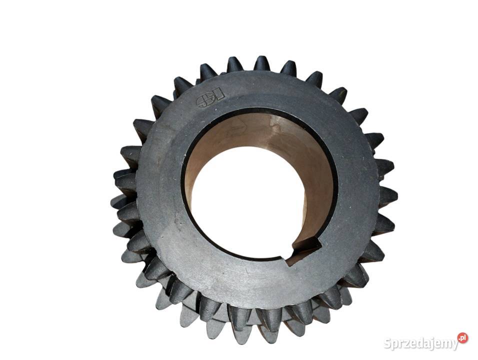 Koło dolne I i II biegu Zetor Korurs 60111911 Tyczyn