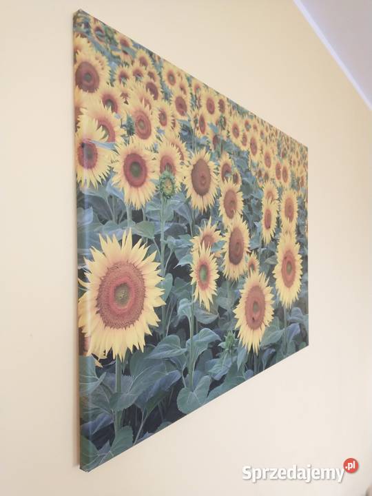 Foto obraz na płótnie Siekierki Małe