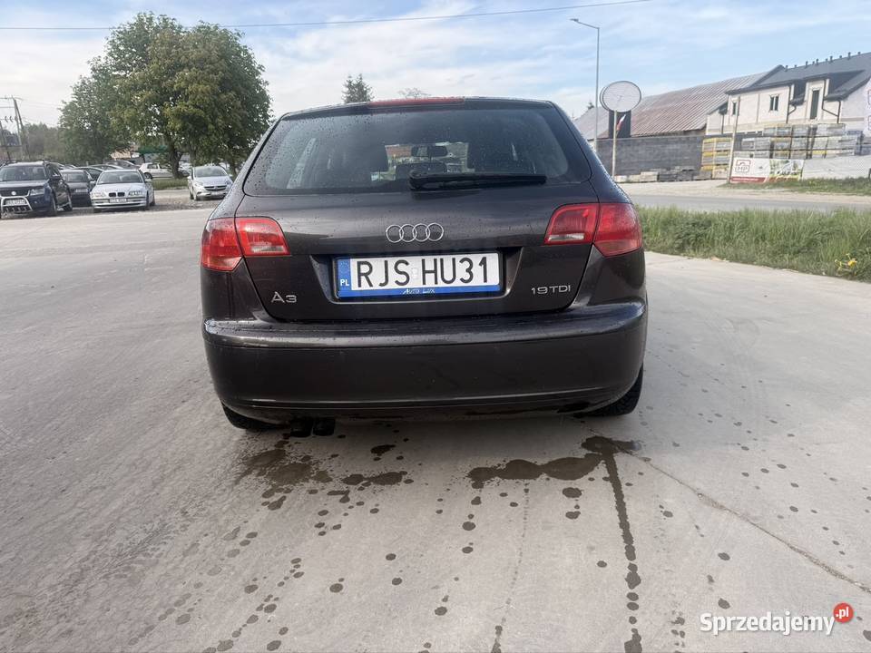 Audi A3 8p 2006 r 19 TDI 105 Krempna