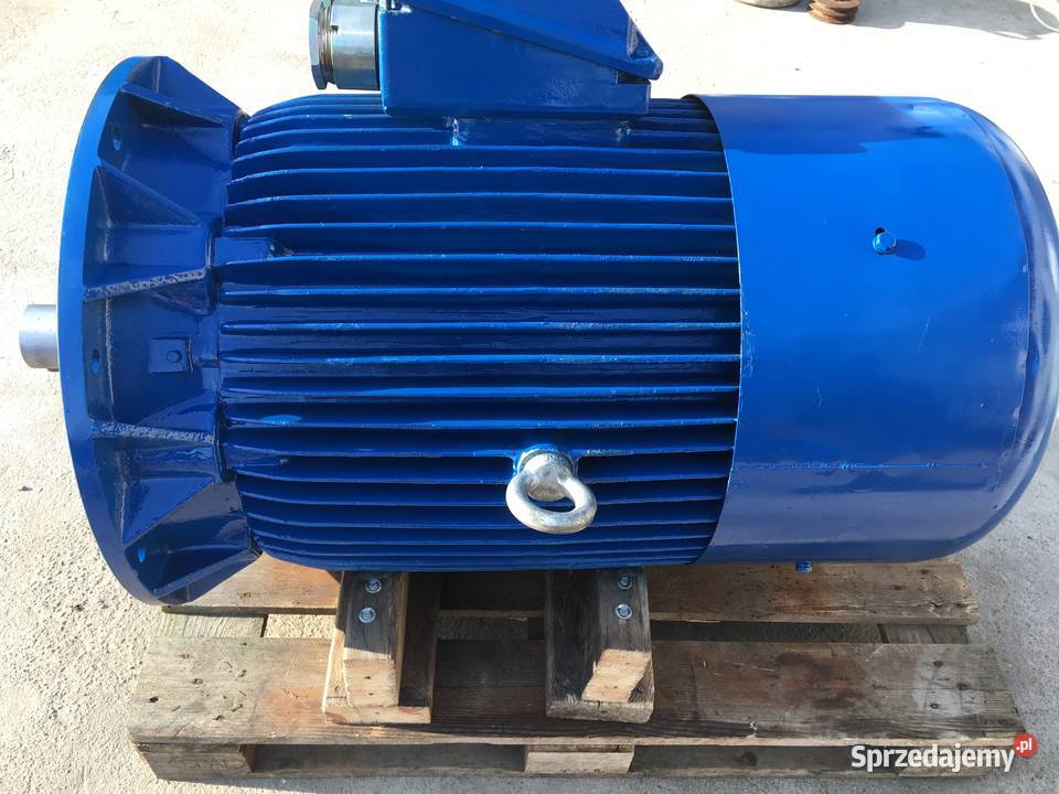 Silnik elektryczny 22 30 37 45 55 75 90 132 160