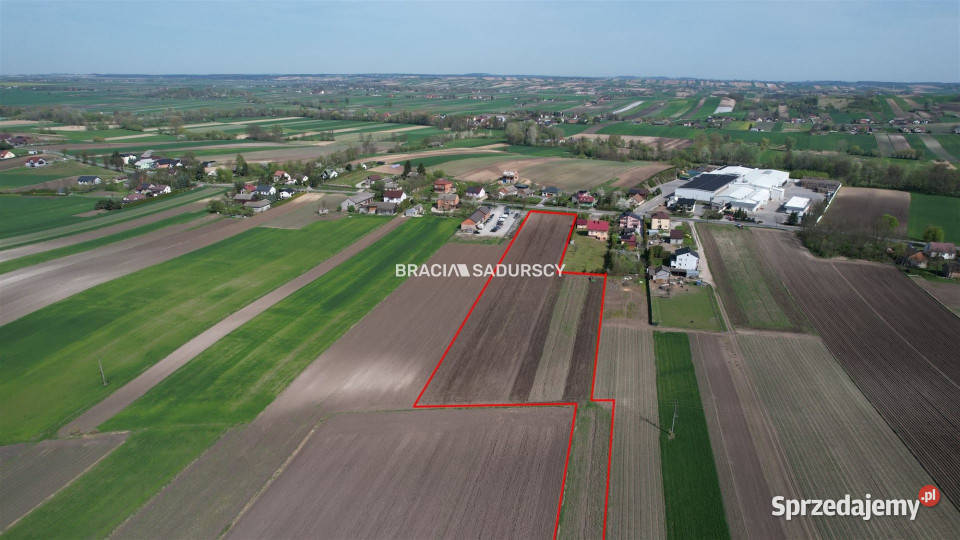 sprzedaży działki 16768m2 Niegardów