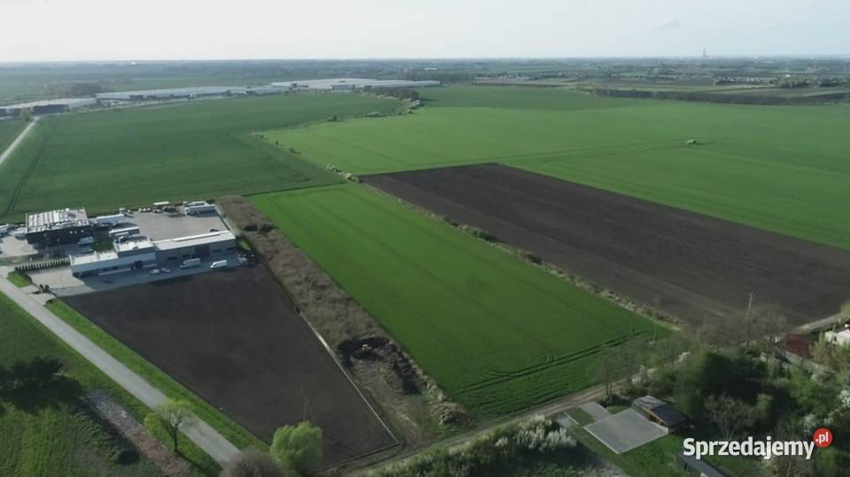 Działka 6000 m2 Milejowice Krajków Żórawina obok 47m