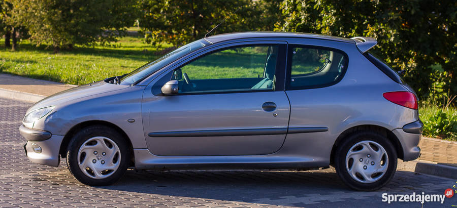 Peugeot 206 Zadbade wnętrze kobiety Pruszcz Gdański