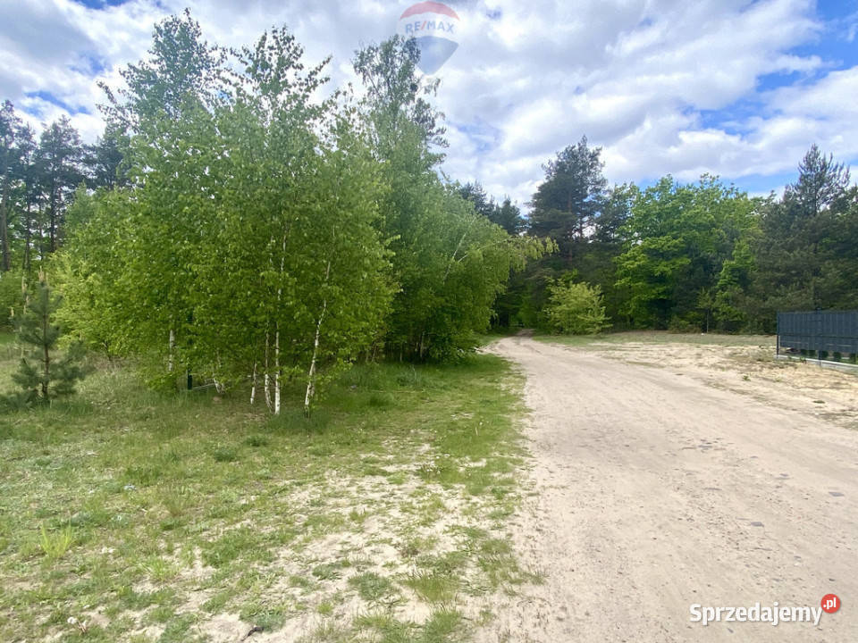 Duża piekna działka Puszczy Słupeckiej mazowieckie Sieraków