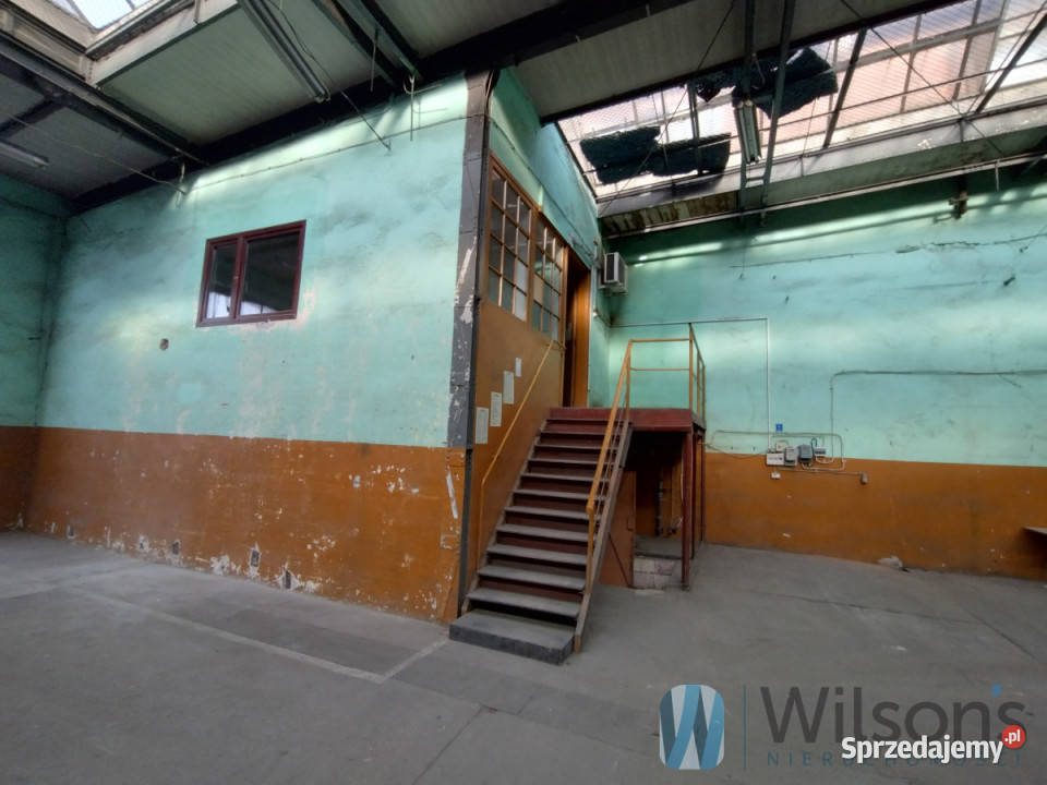 Ogłoszenie lokal Wrocław 825m2 825m2