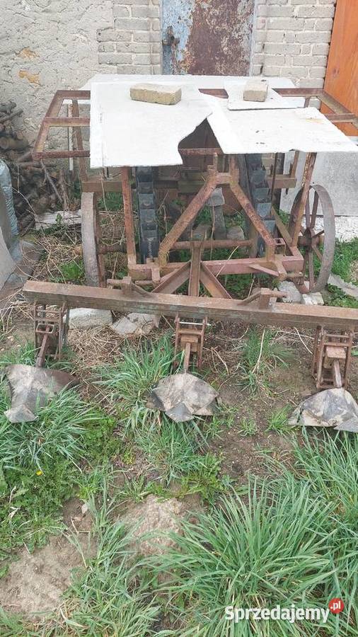 Sadzarka do ziemniaków kiełkowanych samoróbka łódzkie Kraszkowice