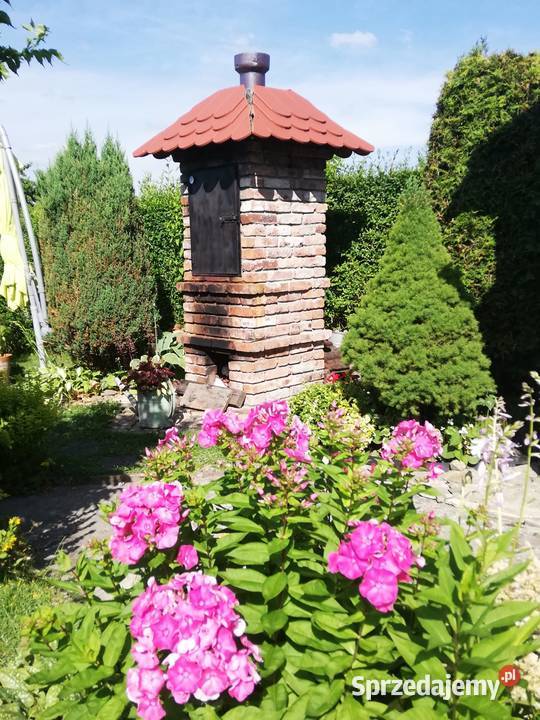 działka rod