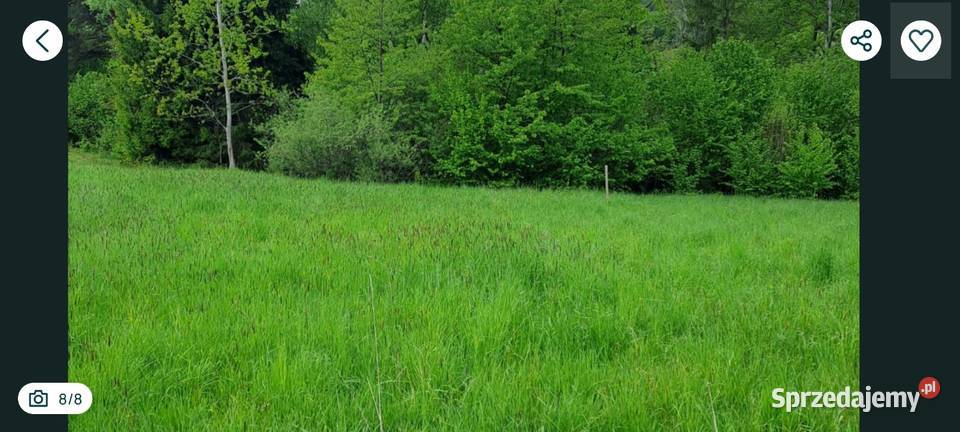 Działka Budowlana Uście Gorl8ckie Zalew Uście Gorlickie