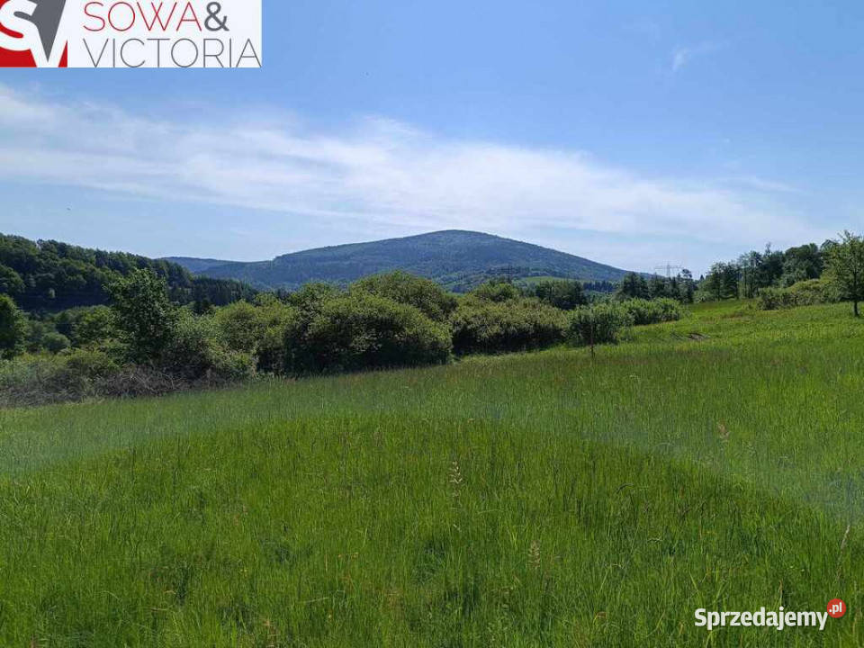 Działka na dom rekreacji indywidualnej ze stawem Sprzedaż Walim sprzedam