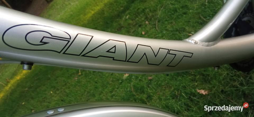 rower damka Giant Explorer M aluminiowy lekki Chojna