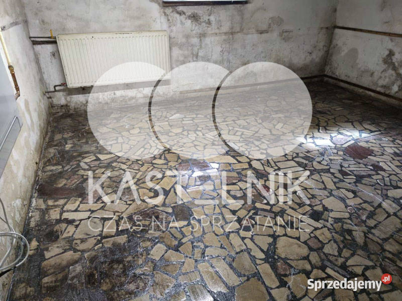 Sprzątanie zalaniach usuwanie szkód Lubin Osuszanie i odgrzybianie