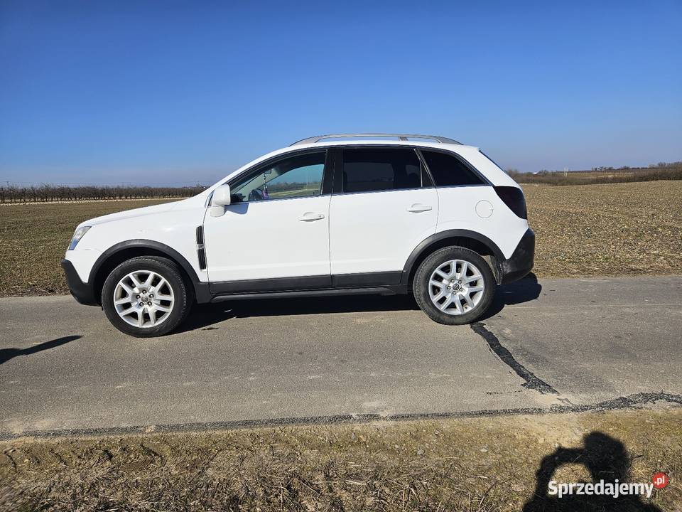 Opel Antara Solec nad Wisłą sprzedam