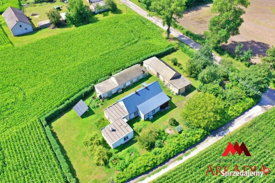 sprzedaży domu wolnostojącego Bodzanowo 364m2 do remontu