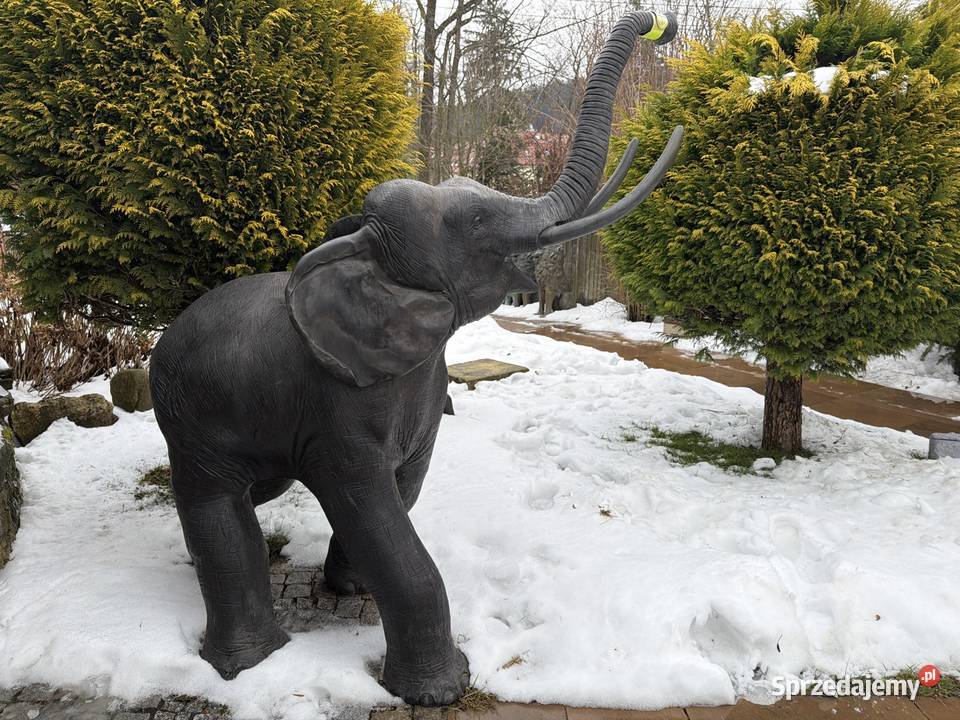 Słoń słonie z brązu duże i solidne