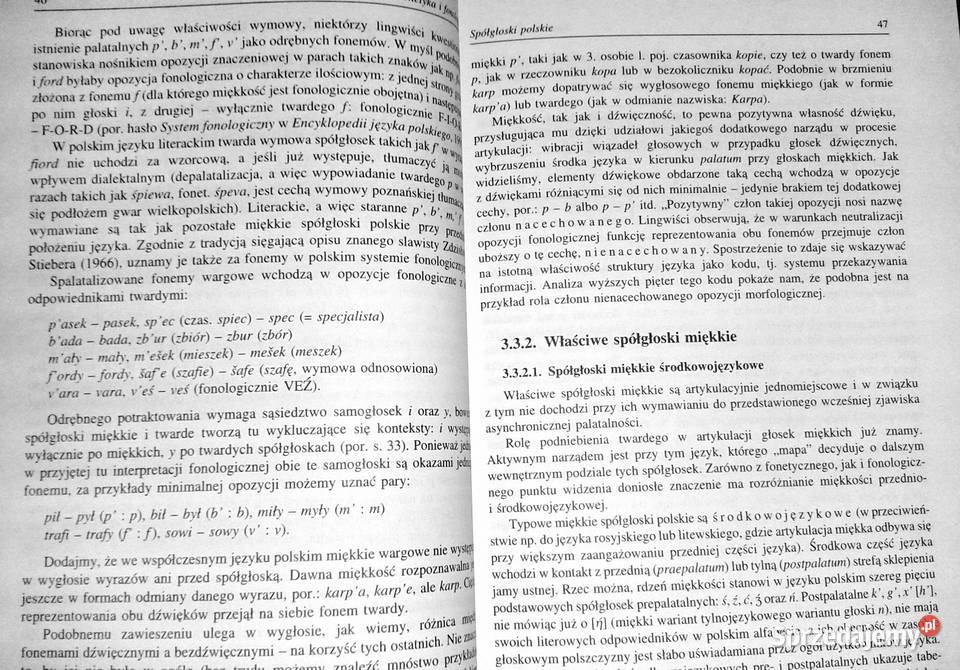 Zarys gramatyki polskiej Alicja Nagórko
