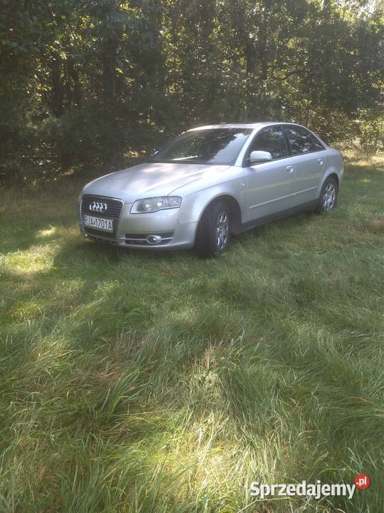 Audi a4b6 20alt Brzóza Stadnicka