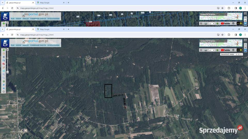 Działka 5000m2 leśna Siennica 25m Sprzedaż Strugi Krzywickie