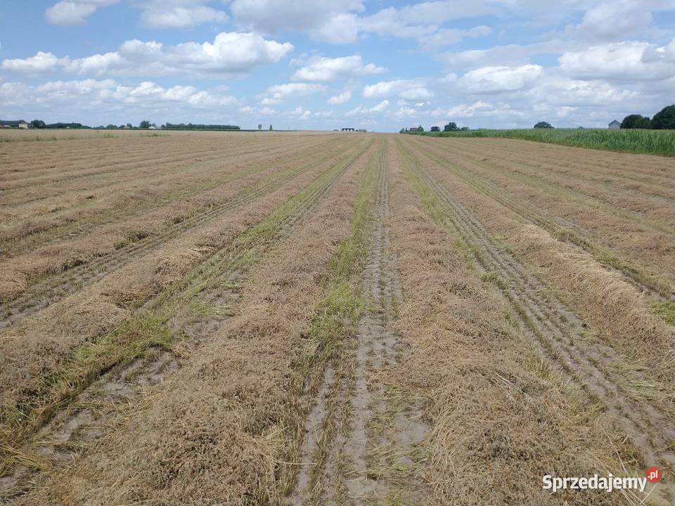 Saladera seladera Lututów