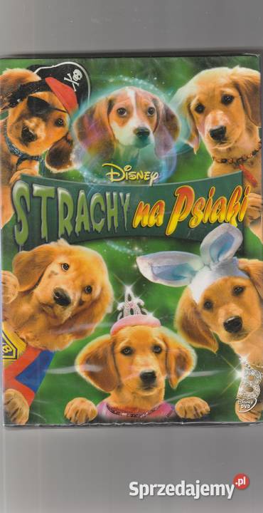 STRACHY NA PSIAKI 2011 dubbing Disney DVD dubbing Pruszków
