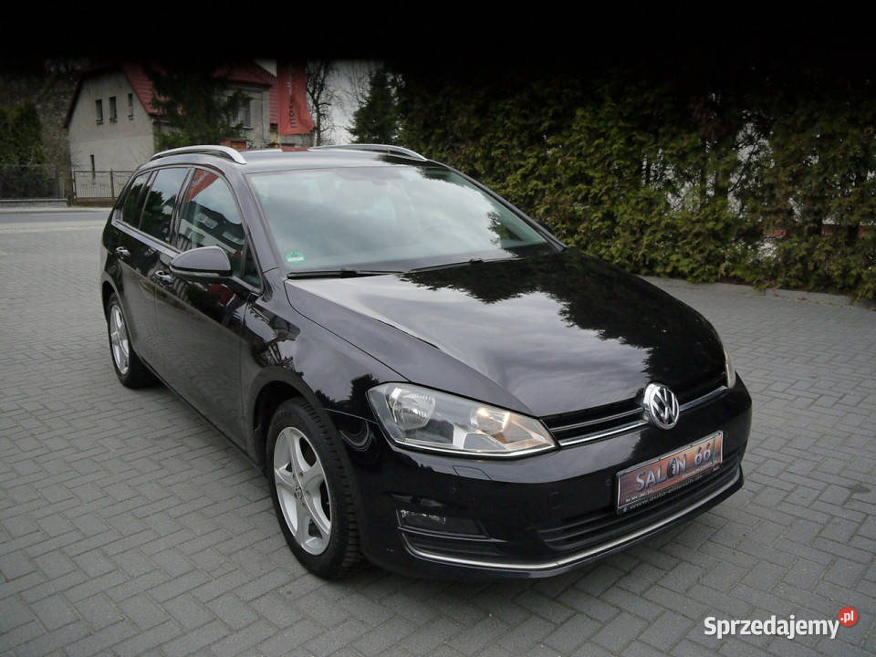 Volkswagen Golf 14b Stan b Navi 100bezwypadkowy immobilizer sprzedam