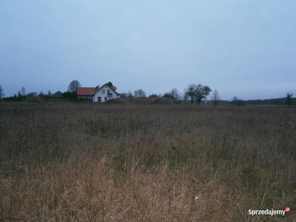działke siedliskowa uzbrojona 3000m2 w wojewódz 20zł/m2 Dziechlino