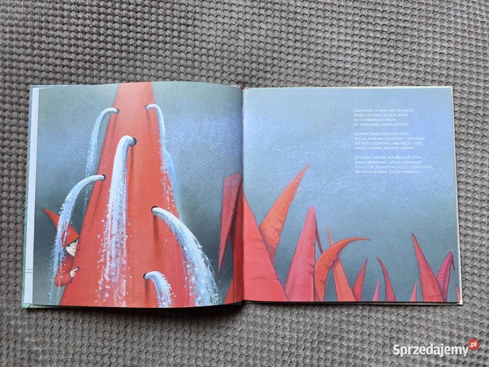 książka z płytą CD nocy i sza