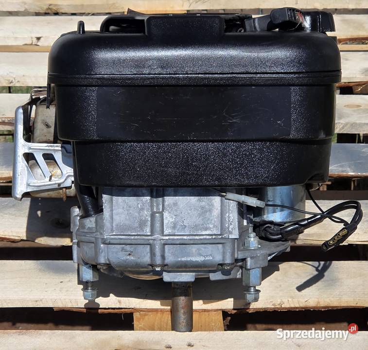 Sprzedam silnik BriggsStratton OHV 2 INTEK 60 Jasienica