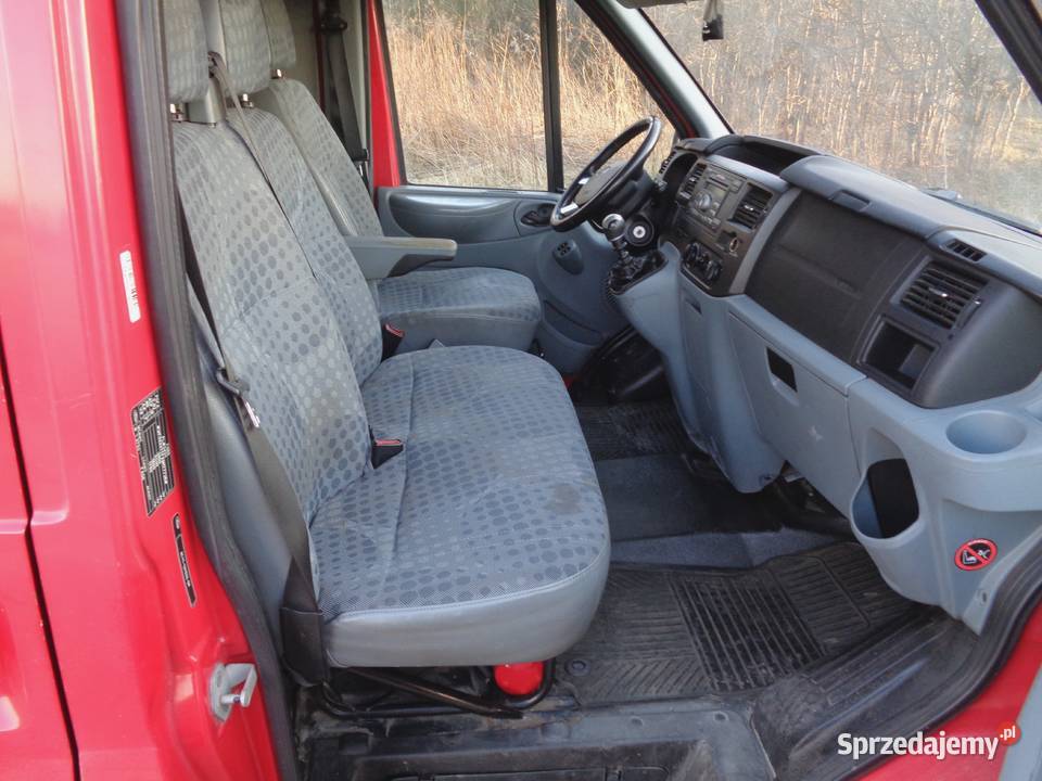 Super Transit z Kwiaciarni dolnośląskie Trzebnica