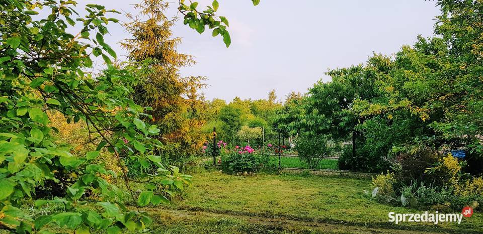 Ogródek działkowy Czeladź Piaski woda