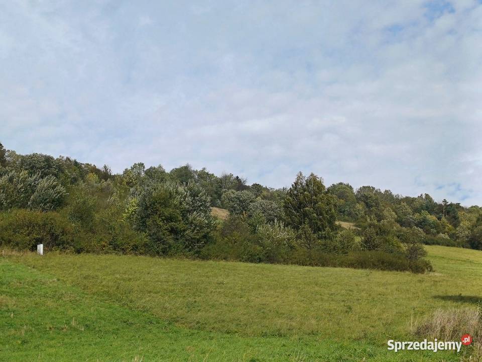 Działka budowlana w Bieszczadach w miejscowości budowlana Baligród