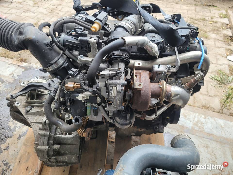 SILNIK KPL Renault Kangoo II 15 DCI K9K636 Dobra Nadzieja