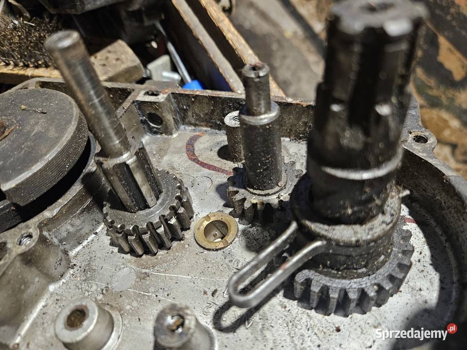 Komar silnik 023 Pielgrzymka