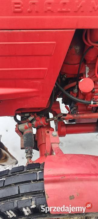 Władimirec T25 Limanowa