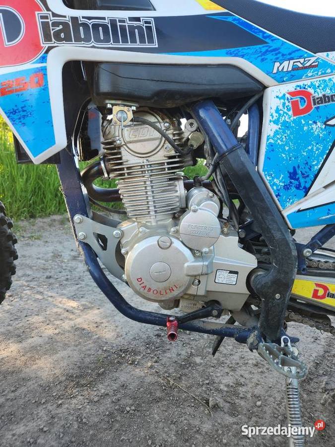 Diabolini 250 Rok produkcji 2023 Strzelin