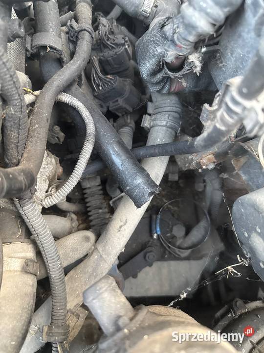 Skrzynia biegów alfa 166 24 jtd Pawelce sprzedam