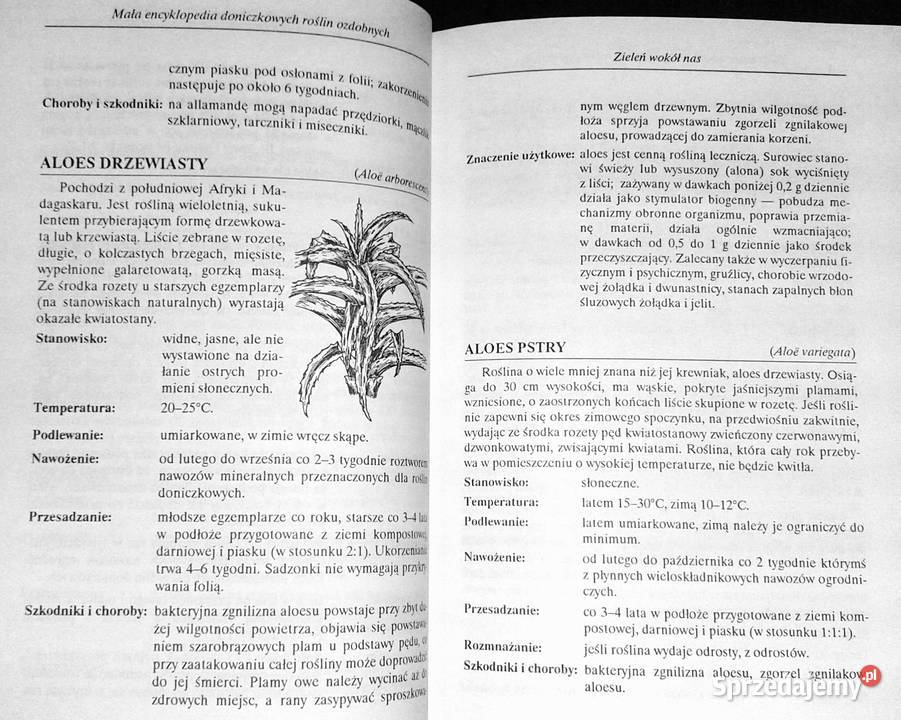 Mała encyklopedia doniczkowych roślin ozdobnych Pozostałe lubelskie Chełm