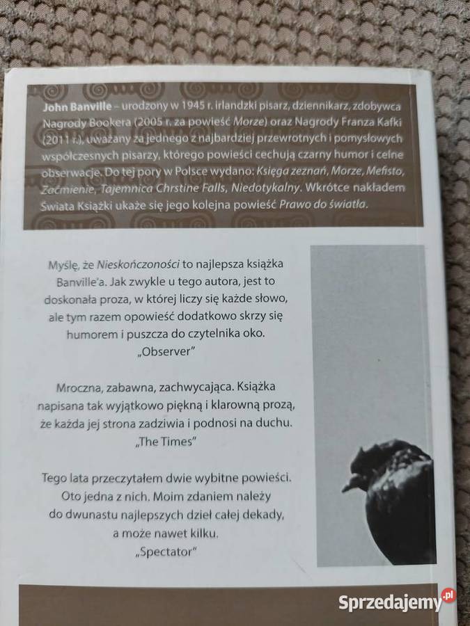 Nieskończoności John Banville