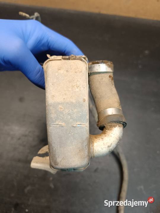 Chłodnica prawa wody cieszy korek części Suzuki Chłodnice Gołaczewy