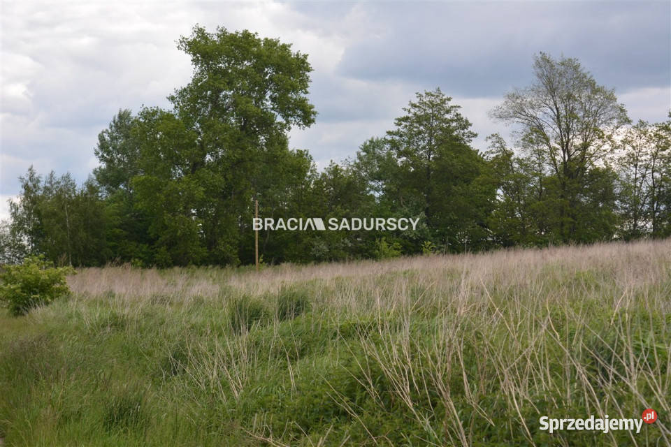 Działka 1464 metry Glewiec