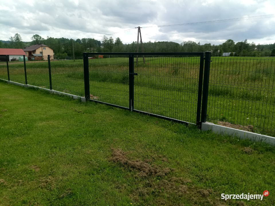 Brama dwuskrzydłowa 153x400 kpl ocynkkolor