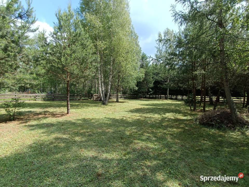 Piękna działka w spokojnej okolicy otoczona rolna Sprzedaż Rekownica sprzedam