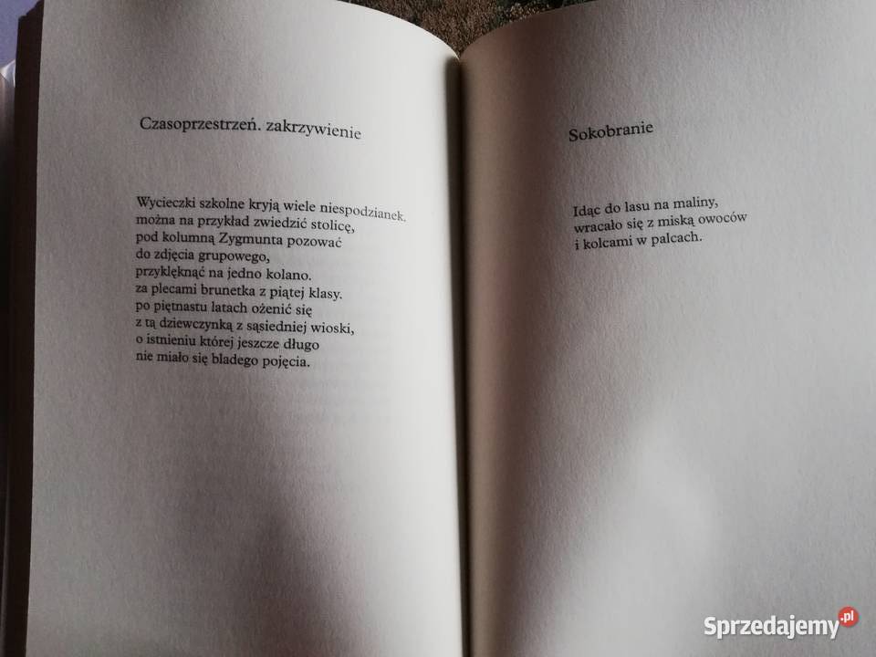 Agnieszka Wiktorowska Chmielewska Krąg ochronny Proza i poezja Kraków