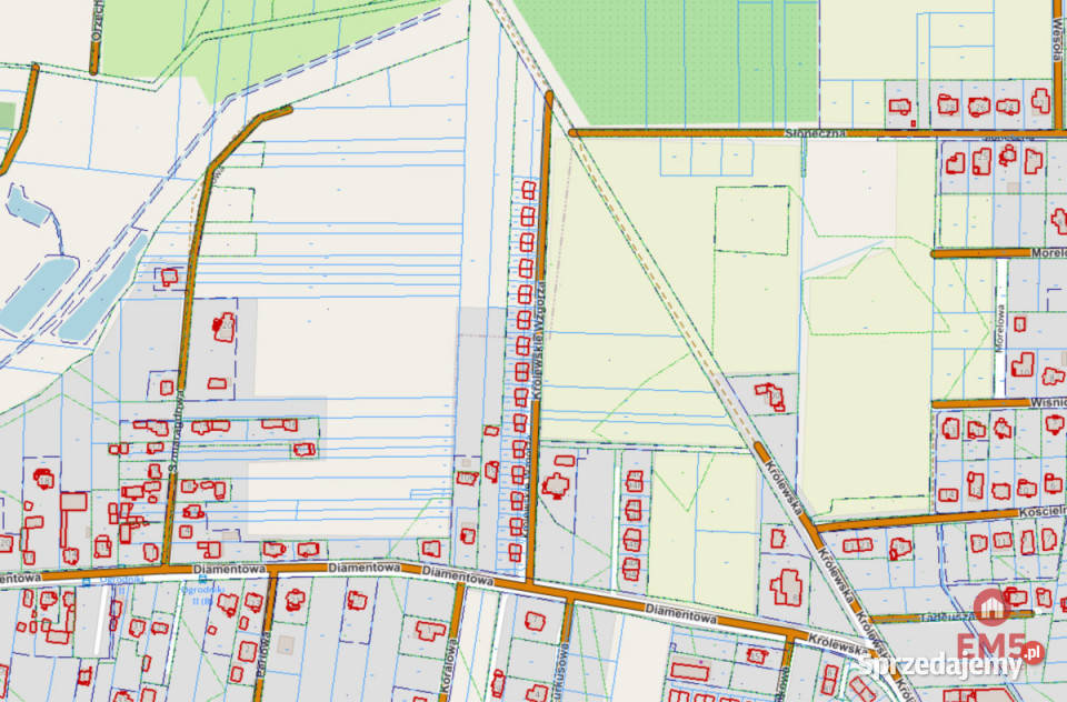 Grunt 5350m2 Nowe Aleksandrowo