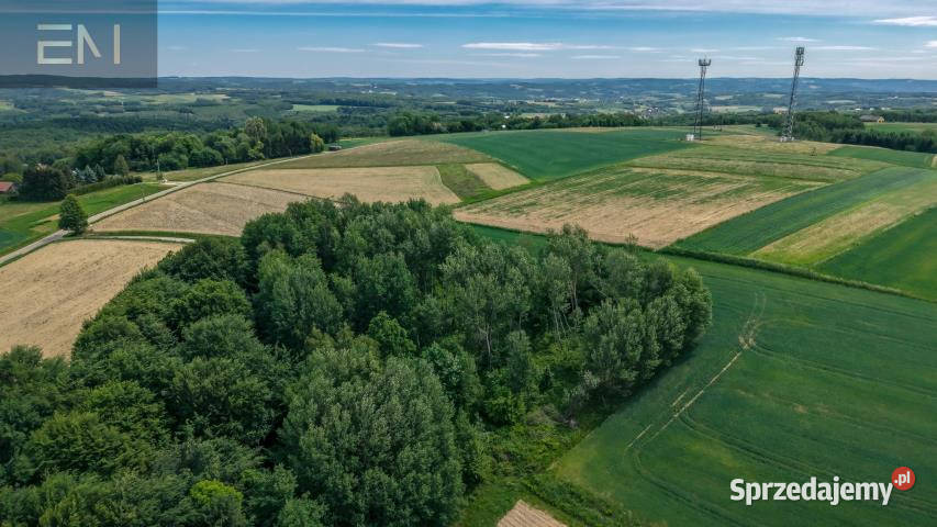 sprzedaży gruntu 4600m2 Szufnarowa podkarpackie