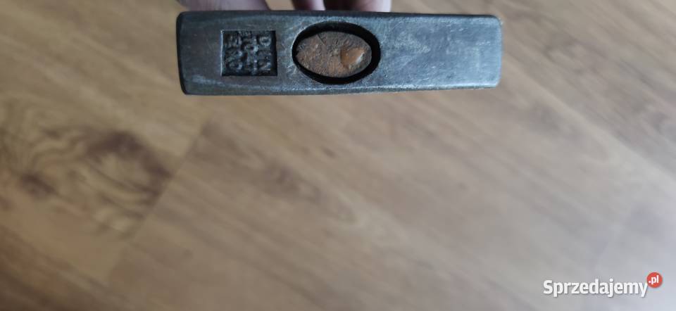 Młotek kujawsko-pomorskie